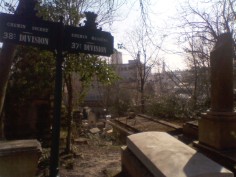 A dark green sign in two parts, to the left of a group of tombs and a slope going downwards. In white letters, the left-hand sign reads 'CHEMIN SUCRET 38e DIVISION'; the right-hand one reads 'CHEMIN MASSÉNA 37e DIVISION'