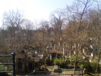 A view of the cemetery from above, overlooking many leafless trees and tombstones