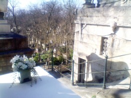 White flowers in a green pot, placed on a white tomb overlooking a staircase which leads down to many more tombs below