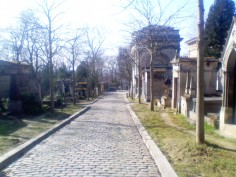 A long cobbled pathway with many stone tombs to either side
