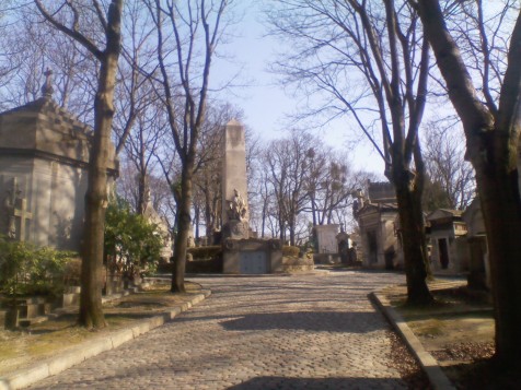 An empty boulevard lined with tall, brown, leafless trees