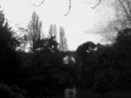 An arched stone bridge over a lake, with many trees and bushes to either side (b&w)