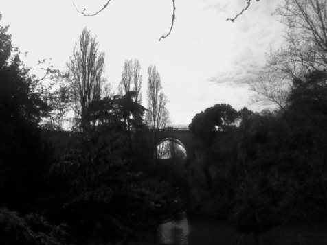 An arched stone bridge over a lake, with many trees and bushes to either side (b&w)