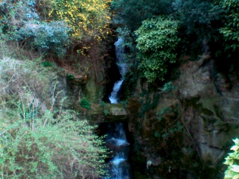 A tall, narrow waterfall in a niche between two rock walls. A number of bushes in various shades of green grow on the walls