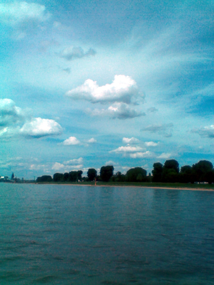 View of the eastern bank of the Rhine, near the southern end of Cologne. The river bank is grassy, and some metres back from the river are many tall, rounded trees. They are reflected in the gently rippling water. Above are numerous grey-white cumulus clouds. At the far left, where the sky meets the river, a few far-off buildings are visible, including the tall double spire of the famous Cologne Cathedral